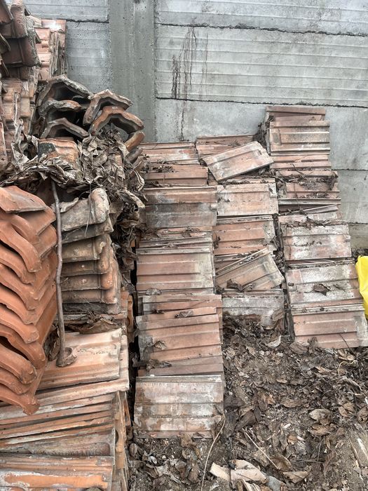 Tiglă de vanzare 30 bani Buc