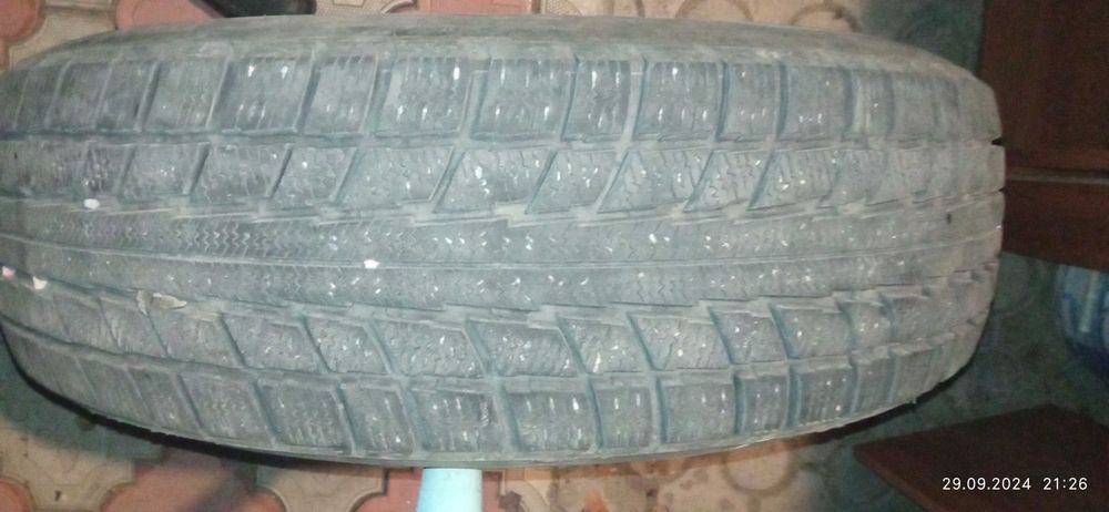 Резина Triangle Snow Lion