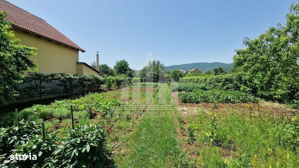 Teren intravilan | 1400 mp | 16 ml deschidere | Alba-Micesti