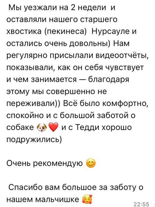 Передержка домашних собак