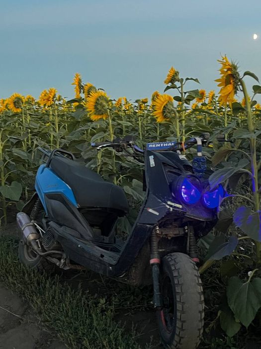 Продам скутер Бумер