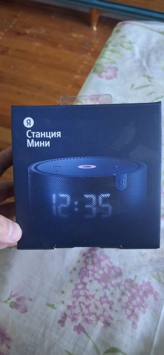 Алиса умная калонка