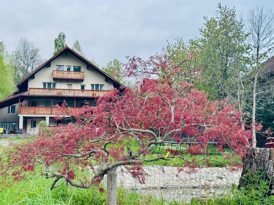 Vila/pensiune/casa Bran panoramica