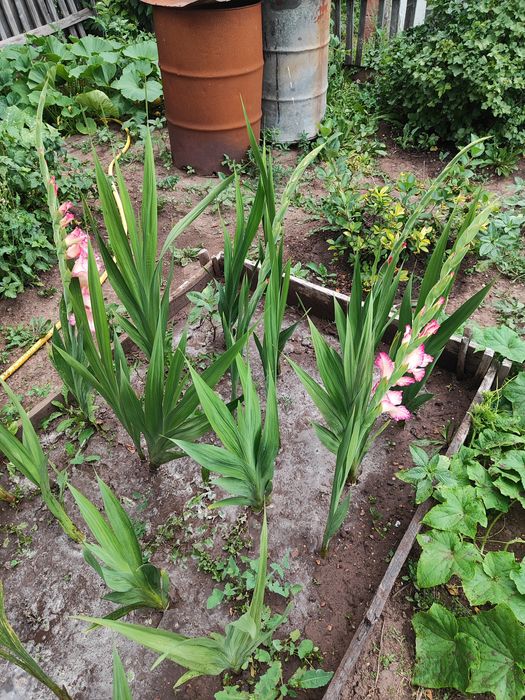 Дача на Уралочке