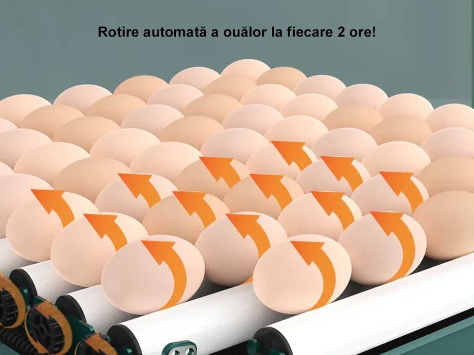 Incubator Automat 48 de oua pui Clocitoare Rata Gisca Eclozator
