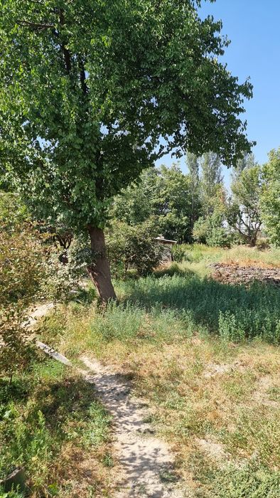 Прадётся участка