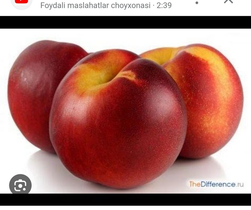 Rus porno filmlar toping