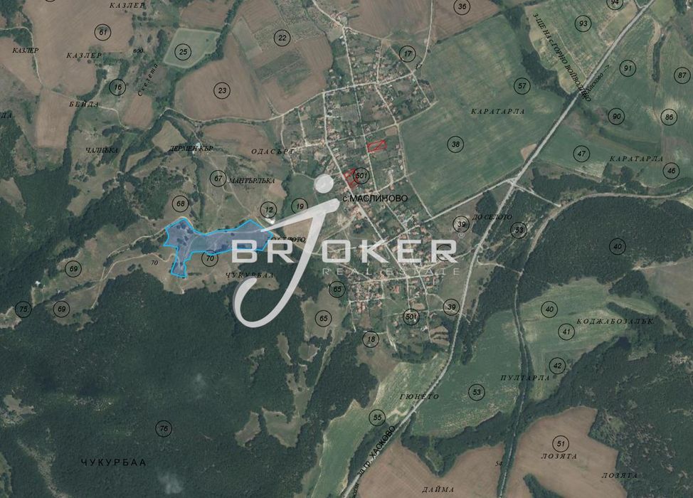 Земеделски имот в с.Маслиново