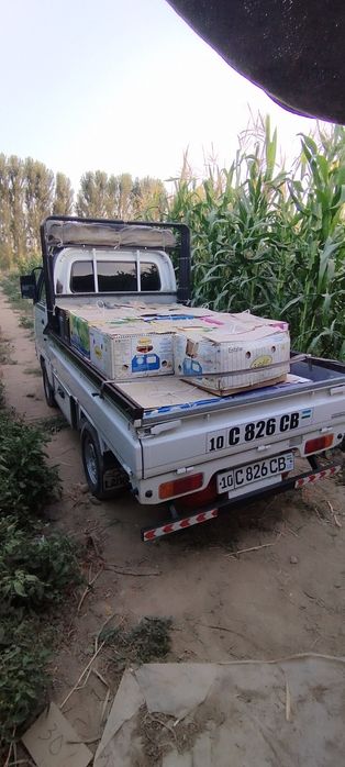 Labo. Taksi. Hizmati.  Olmaliq