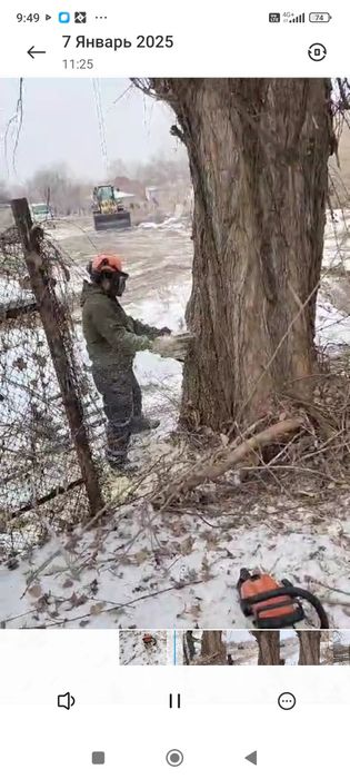 Вывоз стройтельного мусора,Спил деревьев