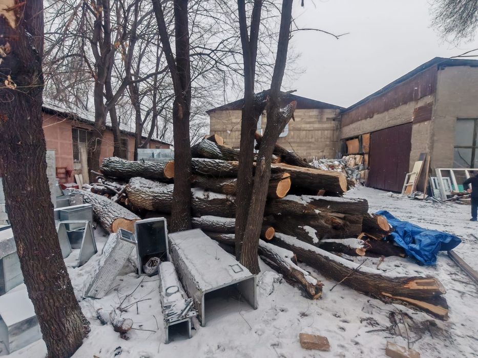 Продам брёвна карагач