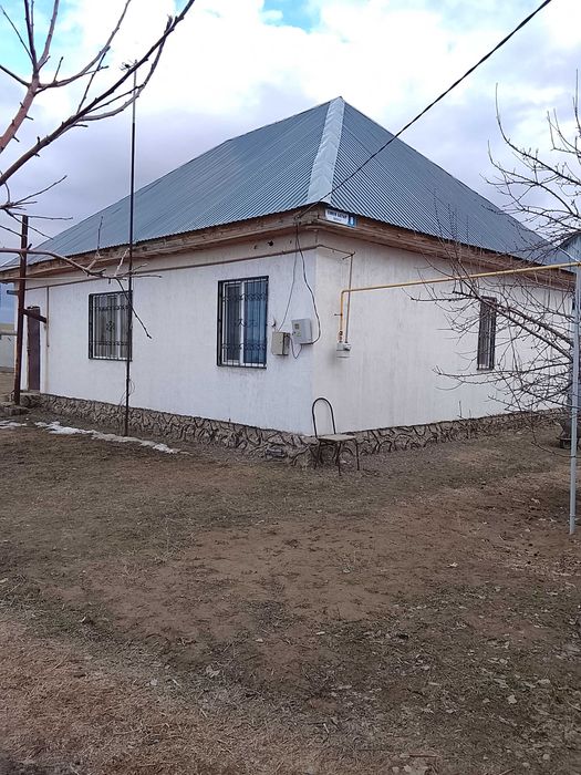 Дом в селе Самсы .