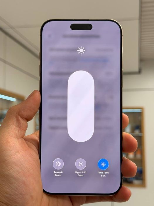 iPhone 16 Pro Max | 256 ГБ