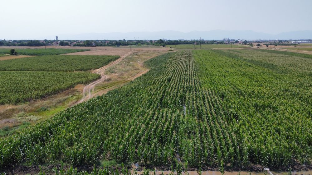 ПРОМОЦИЯ -Сенаж- 80 лв на тон ,  Ливадно Сено- 65.лв бр  ТОП КАЧЕСТВО