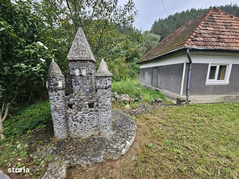 Casa Valisoara