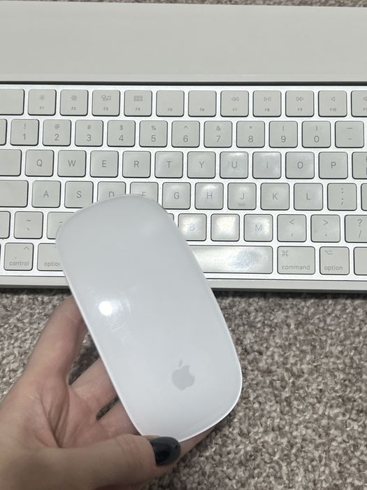 Tastatura si mouse Apple