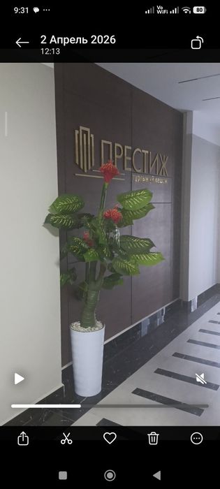 ЖК Престиж 1 комнатная