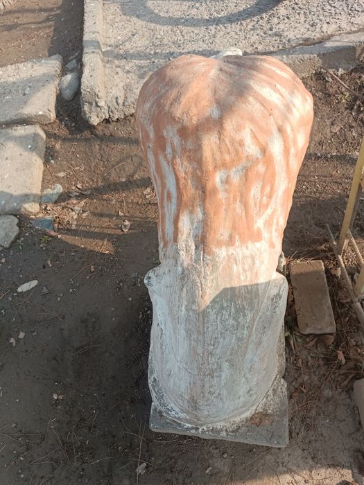 Sher haykal holati zoʻr 1 mln