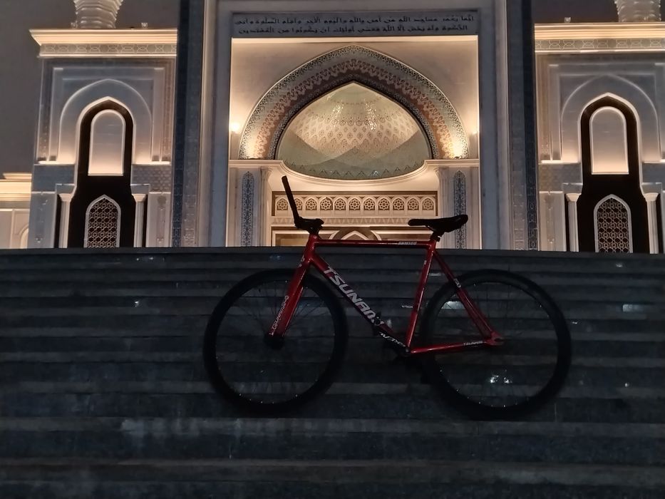 Tsunami snm100 красный цвет