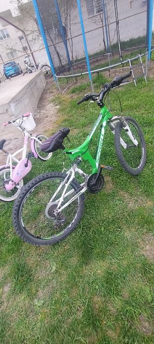 Bicicleta, 530 lei negociabil