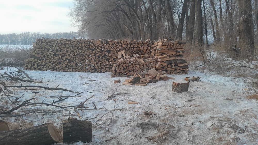 Дрова для дама бани