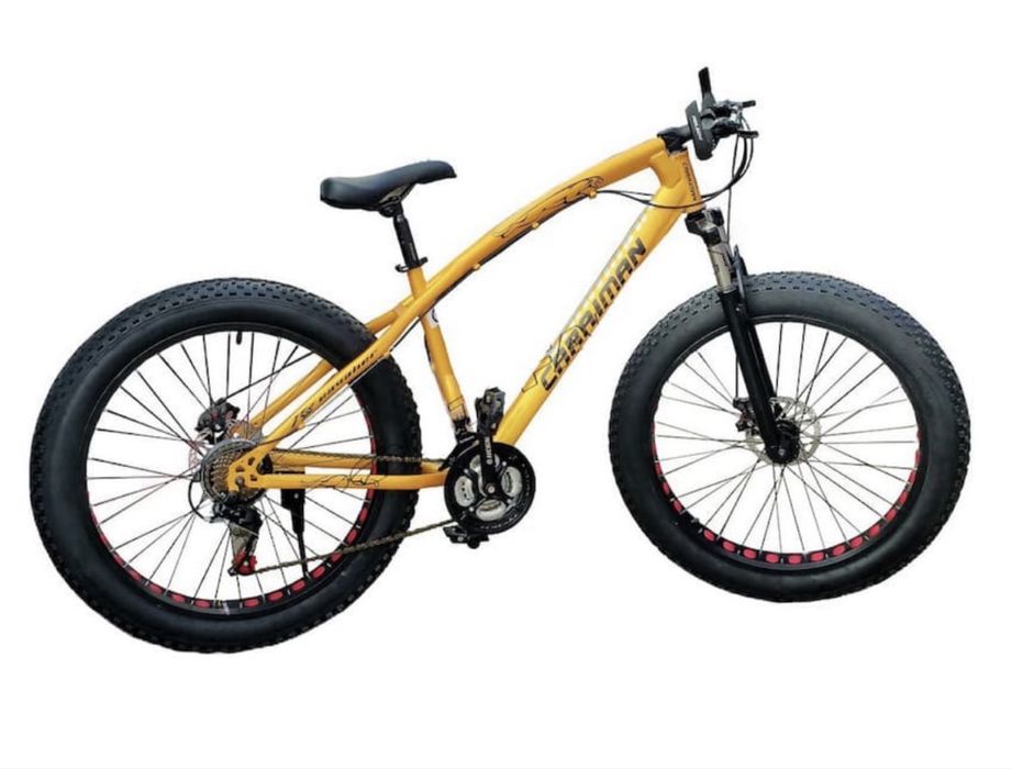 Bicicleta Fat Bike