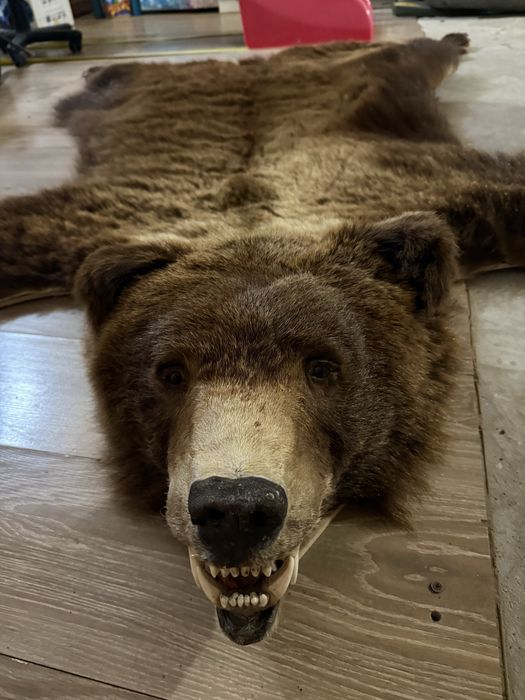 Чучело медведя ….