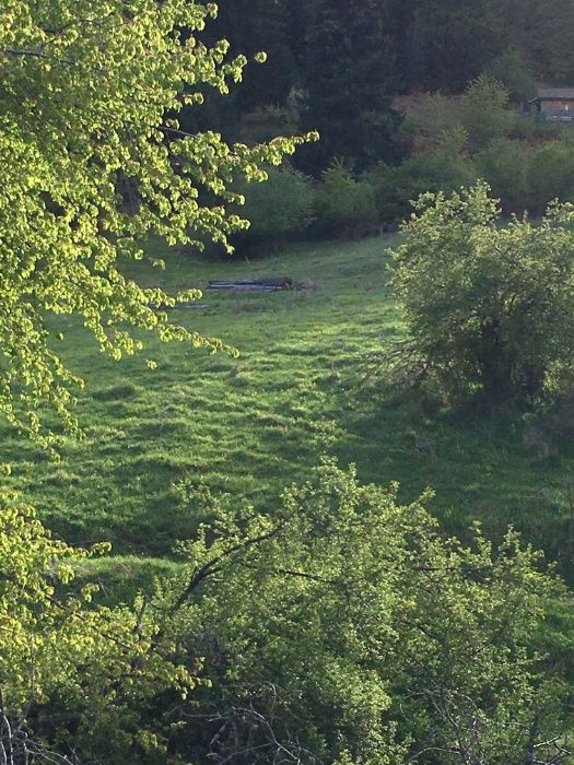 Продава се Къща в Чепеларе - 78 кв.м за 257 €/кв.м - Снимка #10