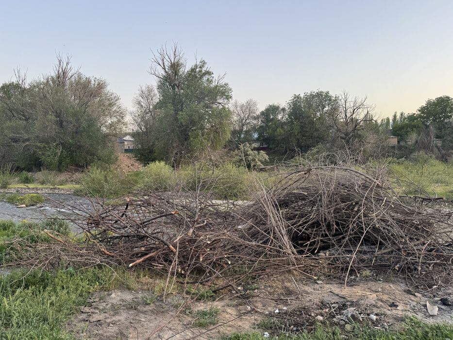 Мелкие дрова для растопки