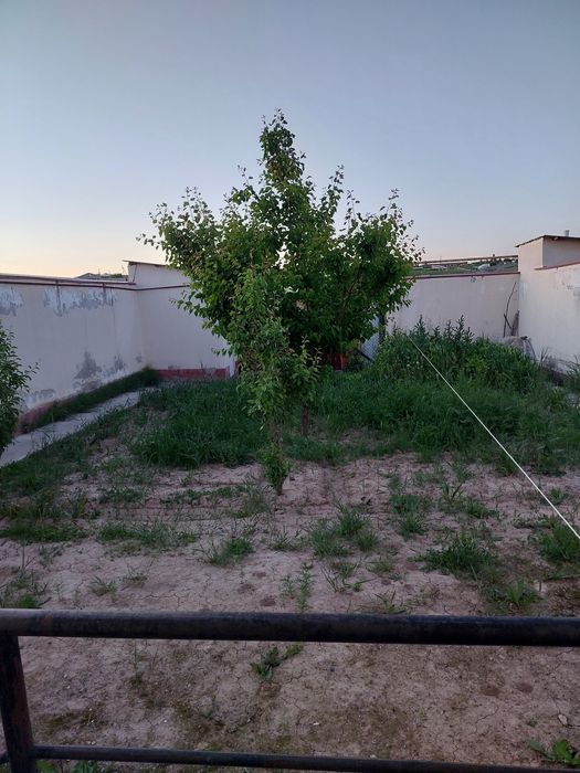 Котеж 3 комнатные 2 сотх