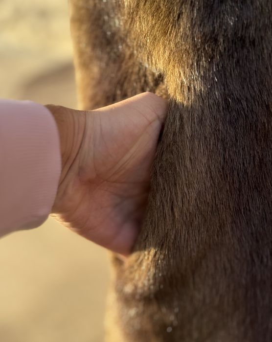 Blana naturala vizon / nurca neg