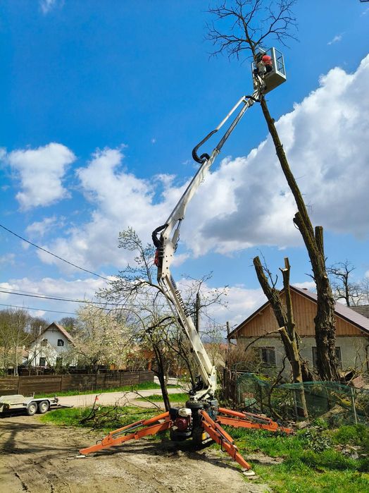 Închiriere nacela Spider 15 m