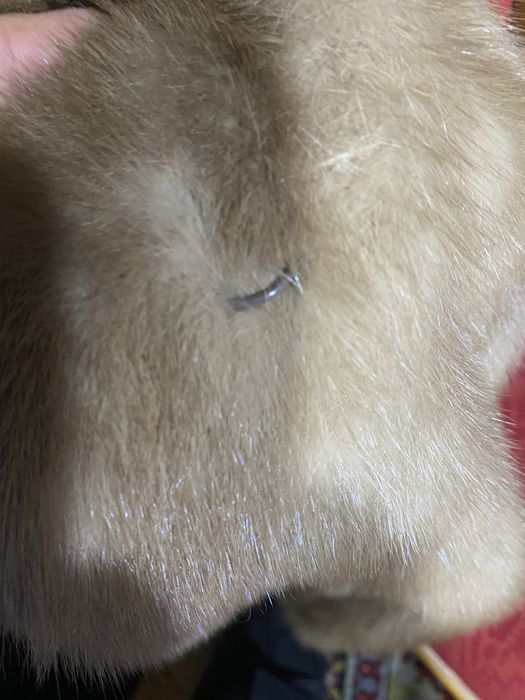 Vand haina lunga de blana  naturala de nurca