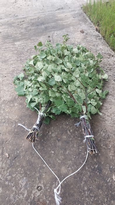 Банные веники оптом