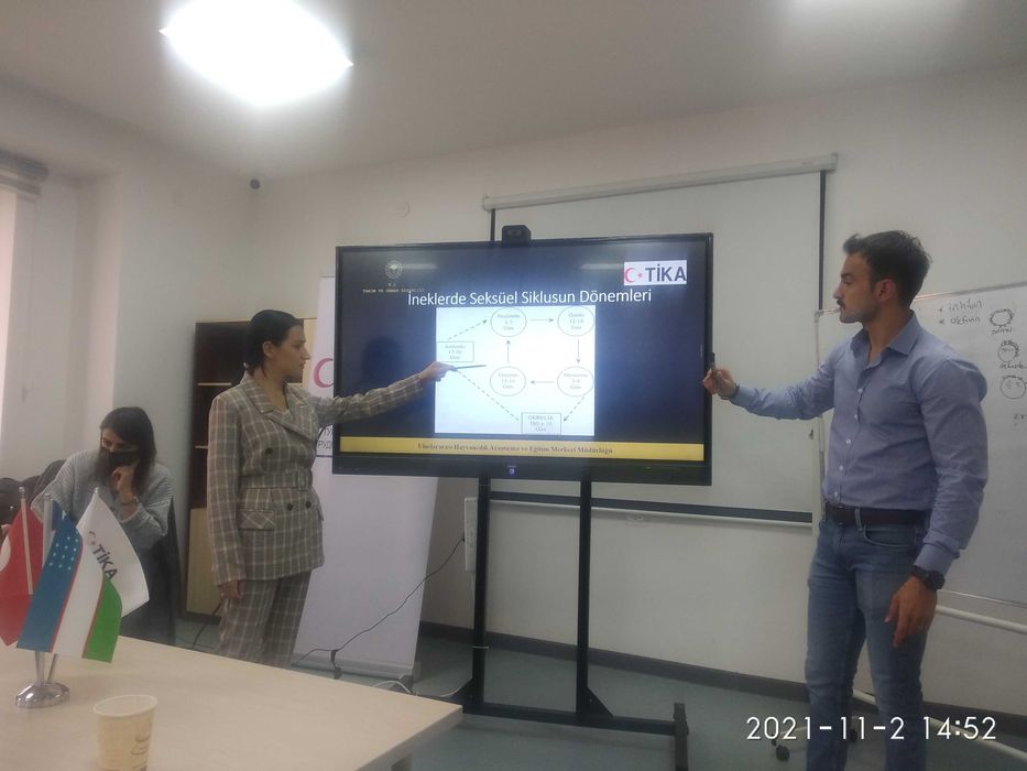 Переводчик с турецкого, русского и узбекского