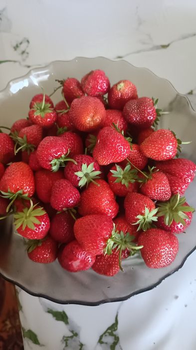 Продам  клубники