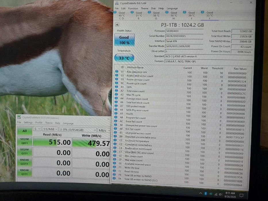 1TB SSD - Western Digital, King Spec, Crucial