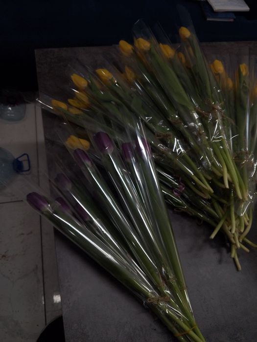 Тюльпаны самые лучшие в Актау