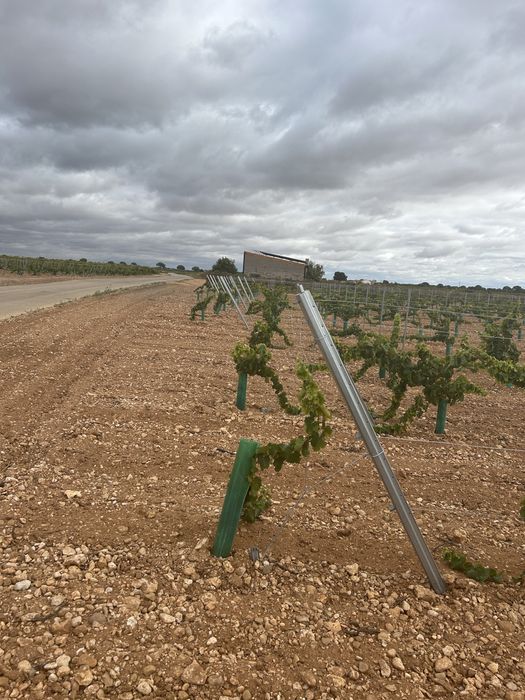 Stalpi de gard galvanizati aproape noi