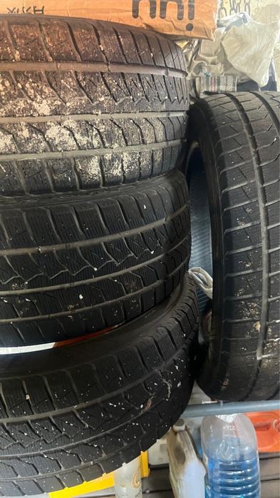 Шины чангана бушный