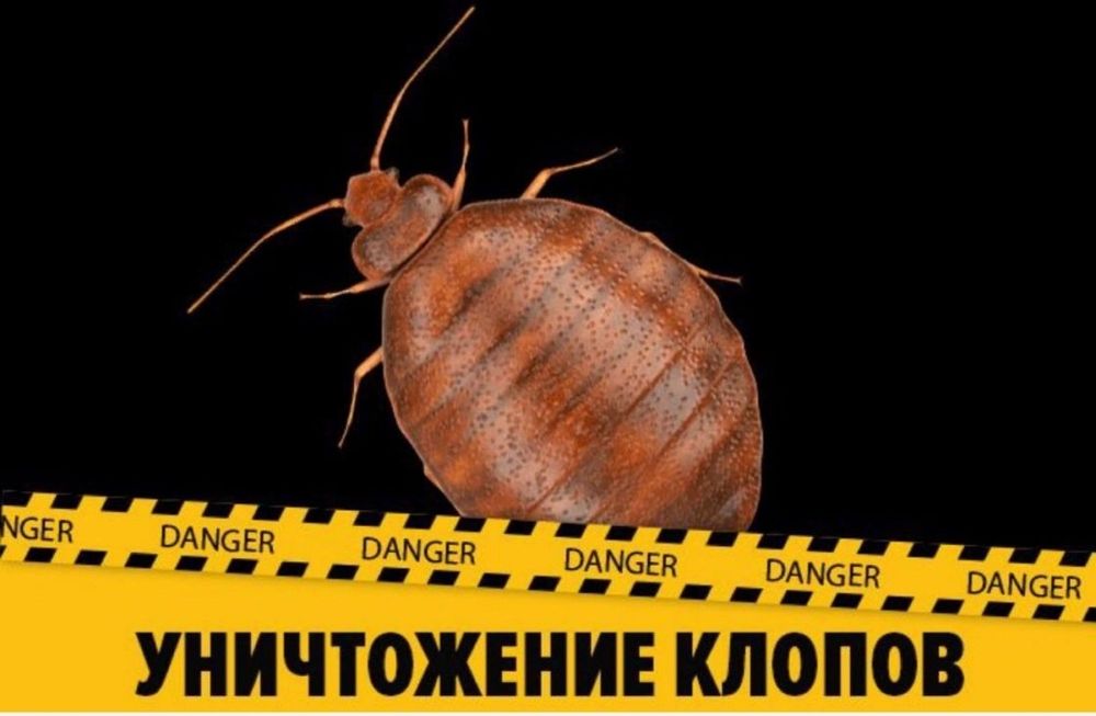 Дезинфекция Dezinfeksiya