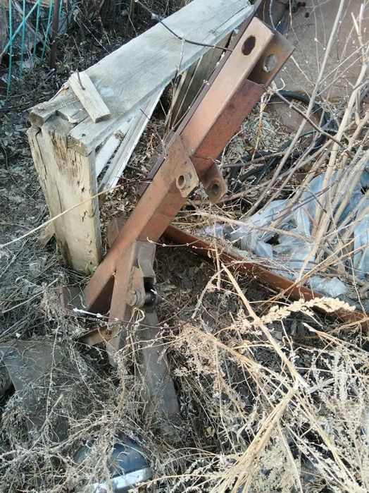 Продажа куна на мтз