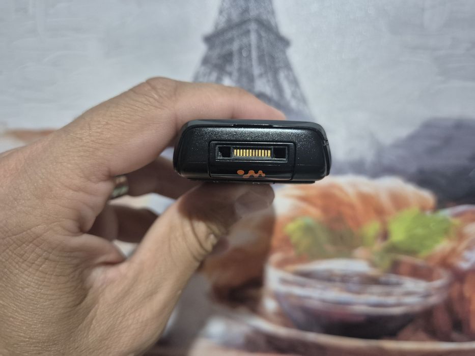 Sony Ericsson W200i