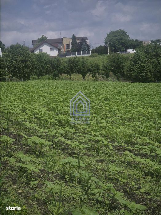 Teren intravilan Moara Nica - zona Scolii