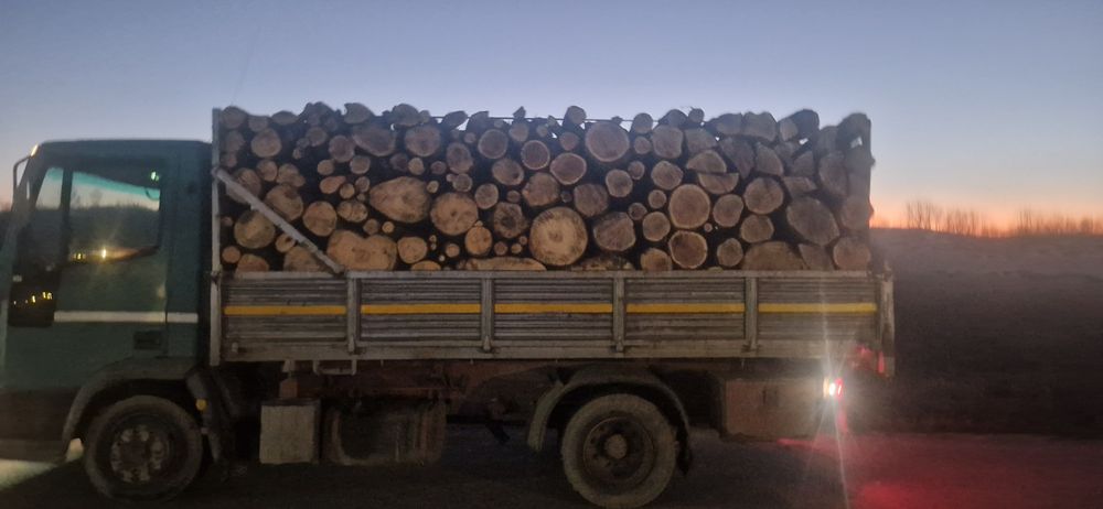 Carbune lignit  și Lemne