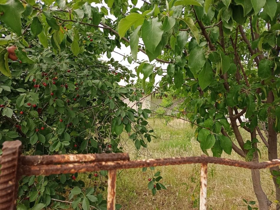 Срочно! Участок 6 соток возле парка "Новый Узбекистан" — Вид на реку!