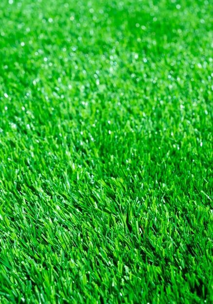 Gazon bley klevir ekish xizmati