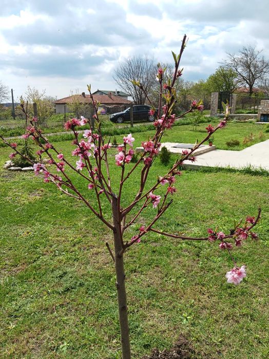 Къща под наем в Генерал Кантарджиево