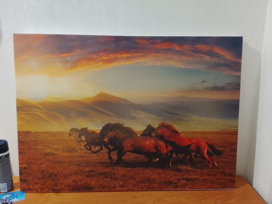 Продам картины на холсте.