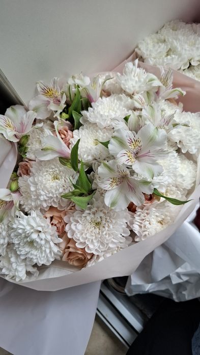 Срочно продам цветы